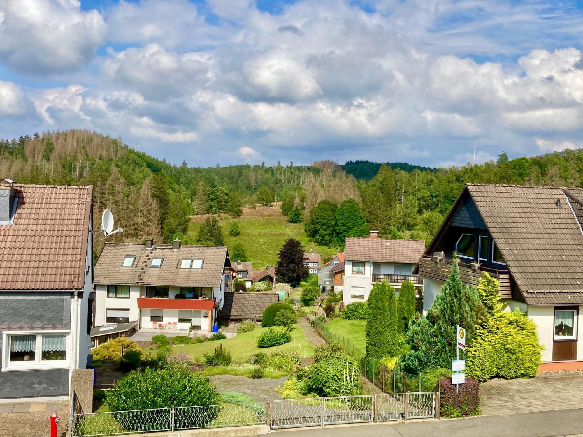 Appartement Haus Wilma à Altenau  Extérieur photo